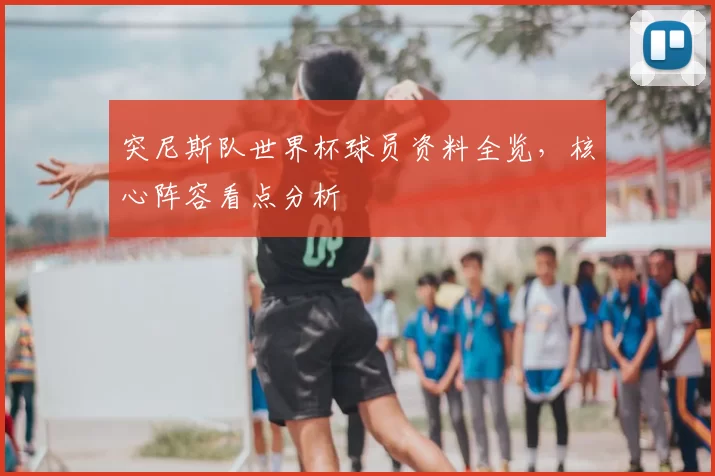 突尼斯队世界杯球员资料全览，核心阵容看点分析