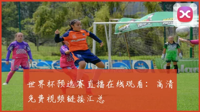 世界杯预选赛直播在线观看：高清免费视频链接汇总