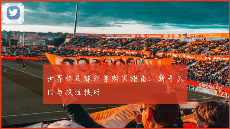世界杯足球彩票购买指南：新手入门与投注技巧