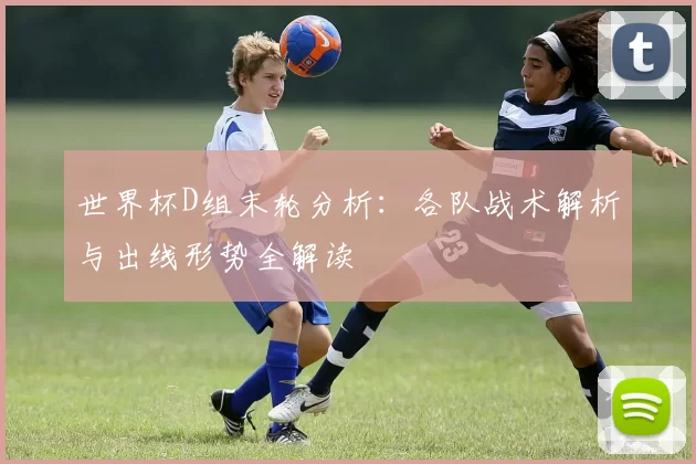 世界杯D组末轮分析:各队战术解析与出线形势全解读