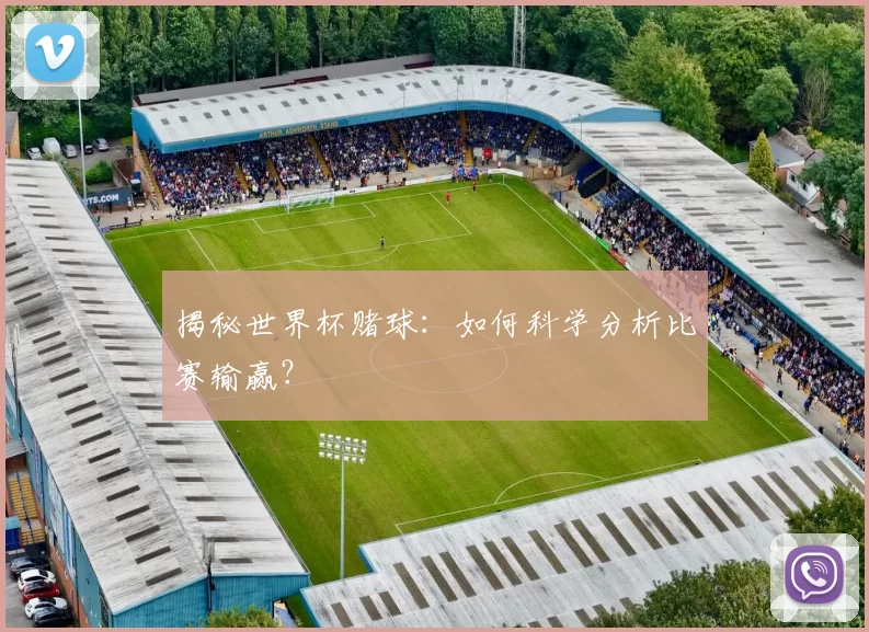 揭秘世界杯赌球:如何科学分析比赛输赢?