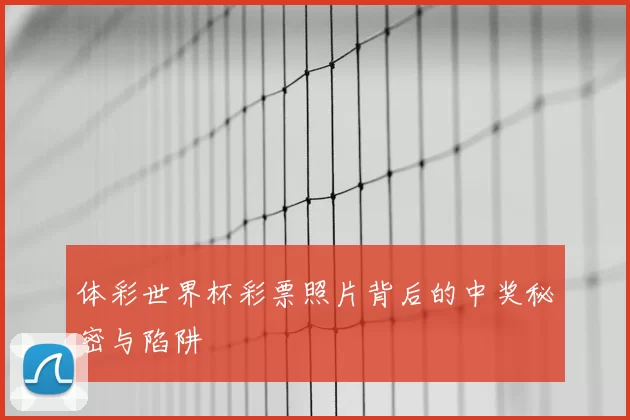 体彩世界杯彩票照片背后的中奖秘密与陷阱