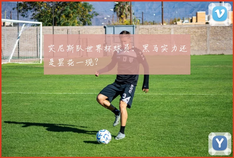 突尼斯队世界杯球员:黑马实力还是昙花一现?