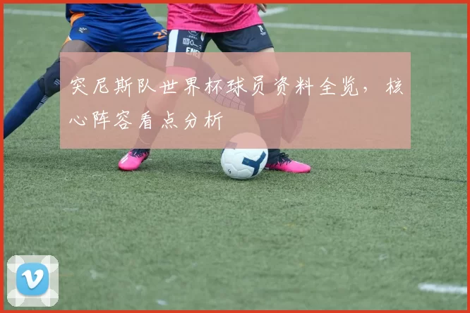 突尼斯队世界杯球员资料全览,核心阵容看点分析