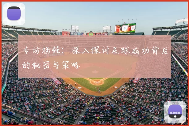 专访杨强：深入探讨足球成功背后的秘密与策略